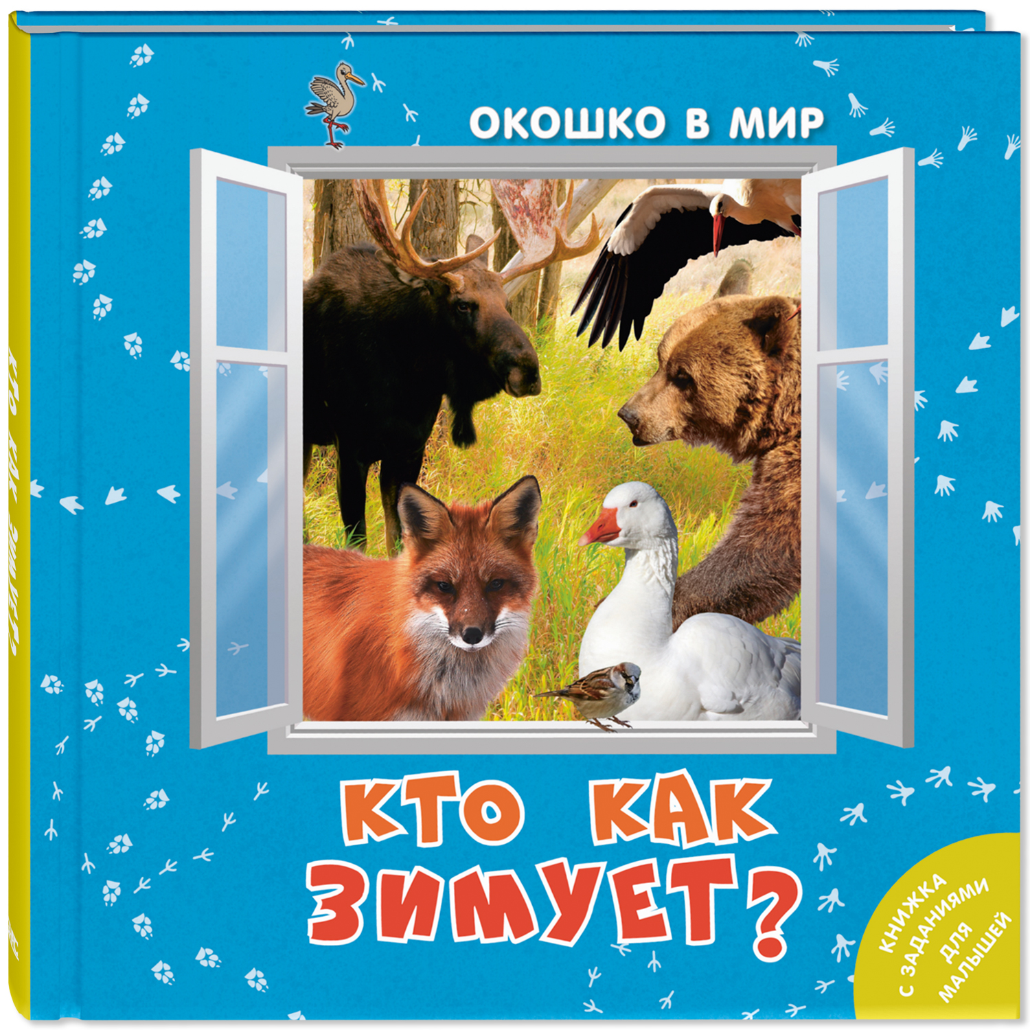 Книжный комплект ЭНАС-книга Окошко в мир - фото 2