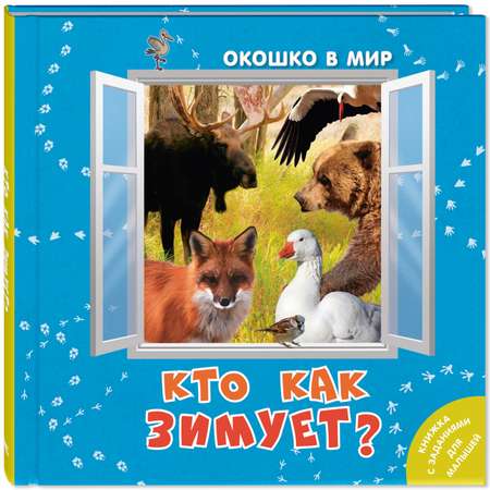 Книга ЭНАС-книга Окошко в мир