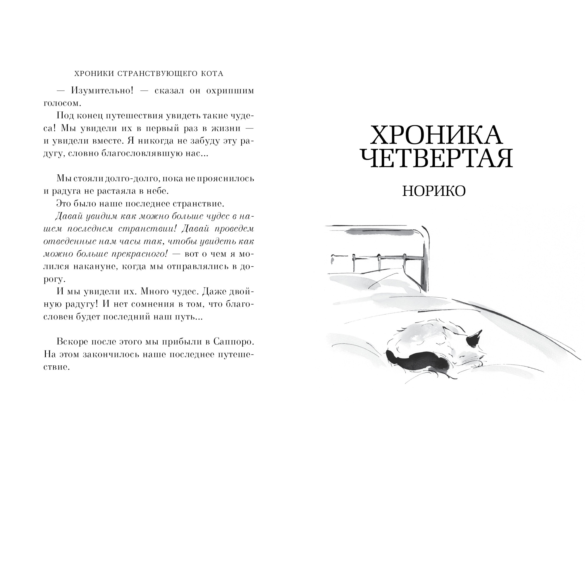 Книга АЗБУКА Хроники странствующего кота - фото 7