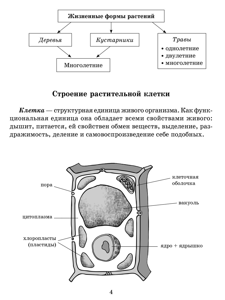 Книга ИД Литера Справочник школьника по биологии 6-11 классы. - фото 3