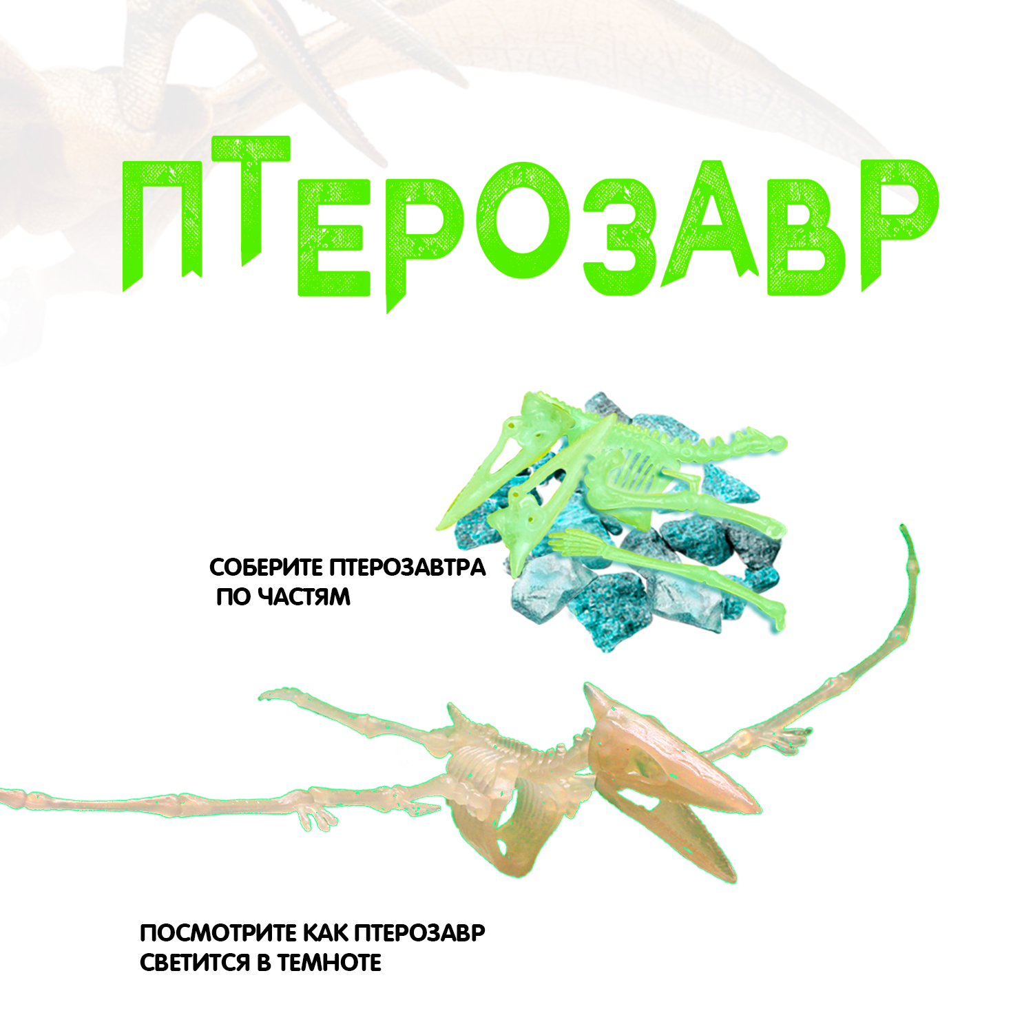 Набор для раскопок BONDIBON Динозавр птерозавр 3D скелет светящийся в темноте - фото 6