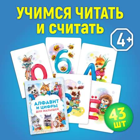 Дидактические карточки LizaLand Алфавит и цифры для малышей