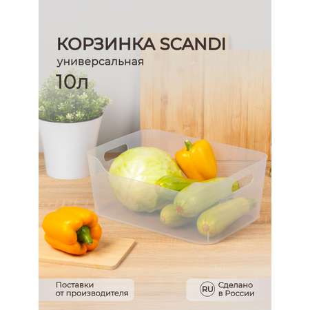 Органайзер Econova SCANDI 34х24х14 см 10 л прозрачный