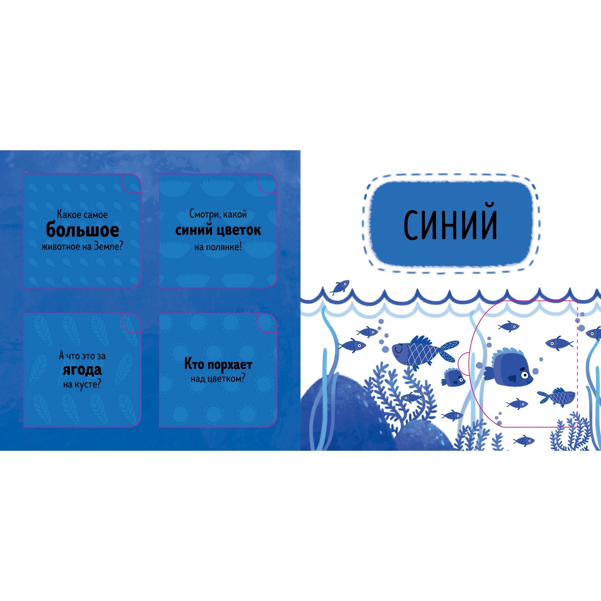 Книга Clever Детский сад на ковре Я учу цвета сам - фото 5