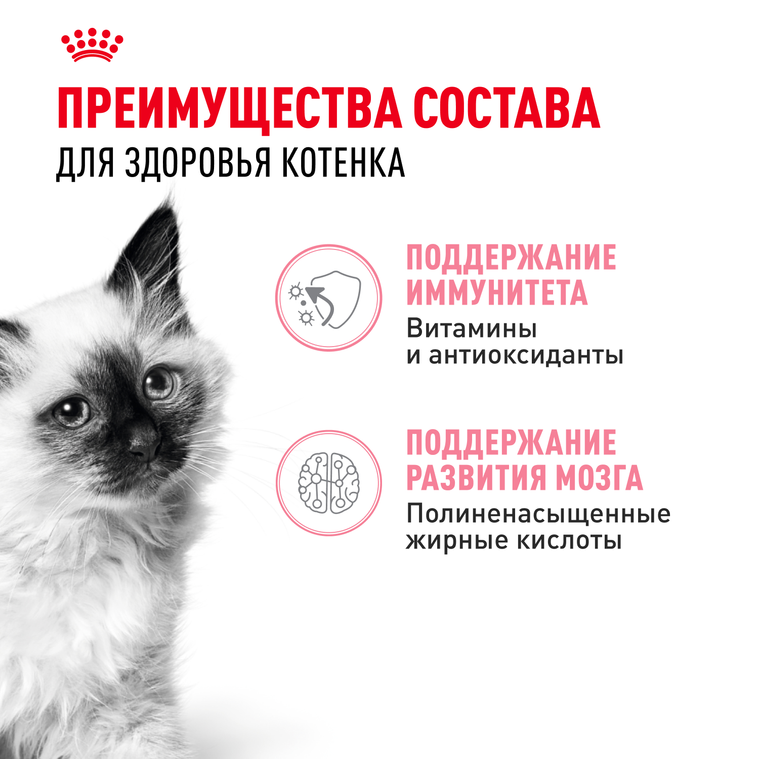 Влажный корм для кошек ROYAL CANIN Kitten 0.085 кг (полнорационный) - фото 4