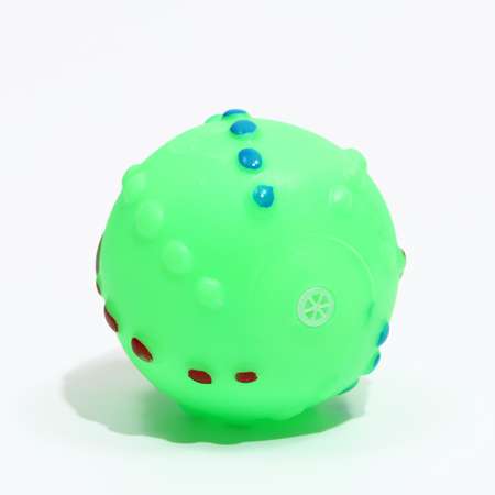 Игрушка Пижон пищащая Мяч Джим для собак 6 см зелёная