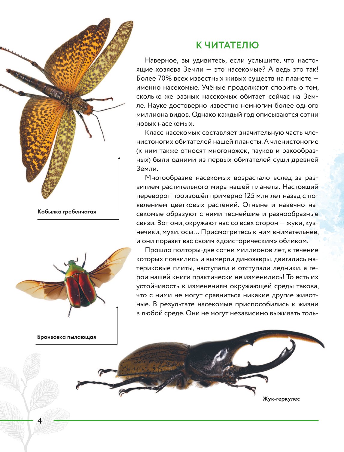 Книга Эксмо Насекомые мира Детская энциклопедия - фото 3