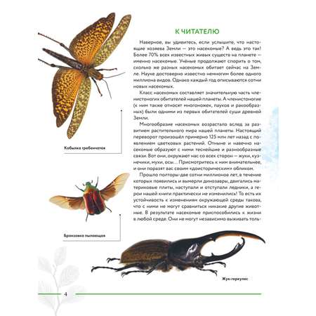 Книга Эксмо Насекомые мира Детская энциклопедия