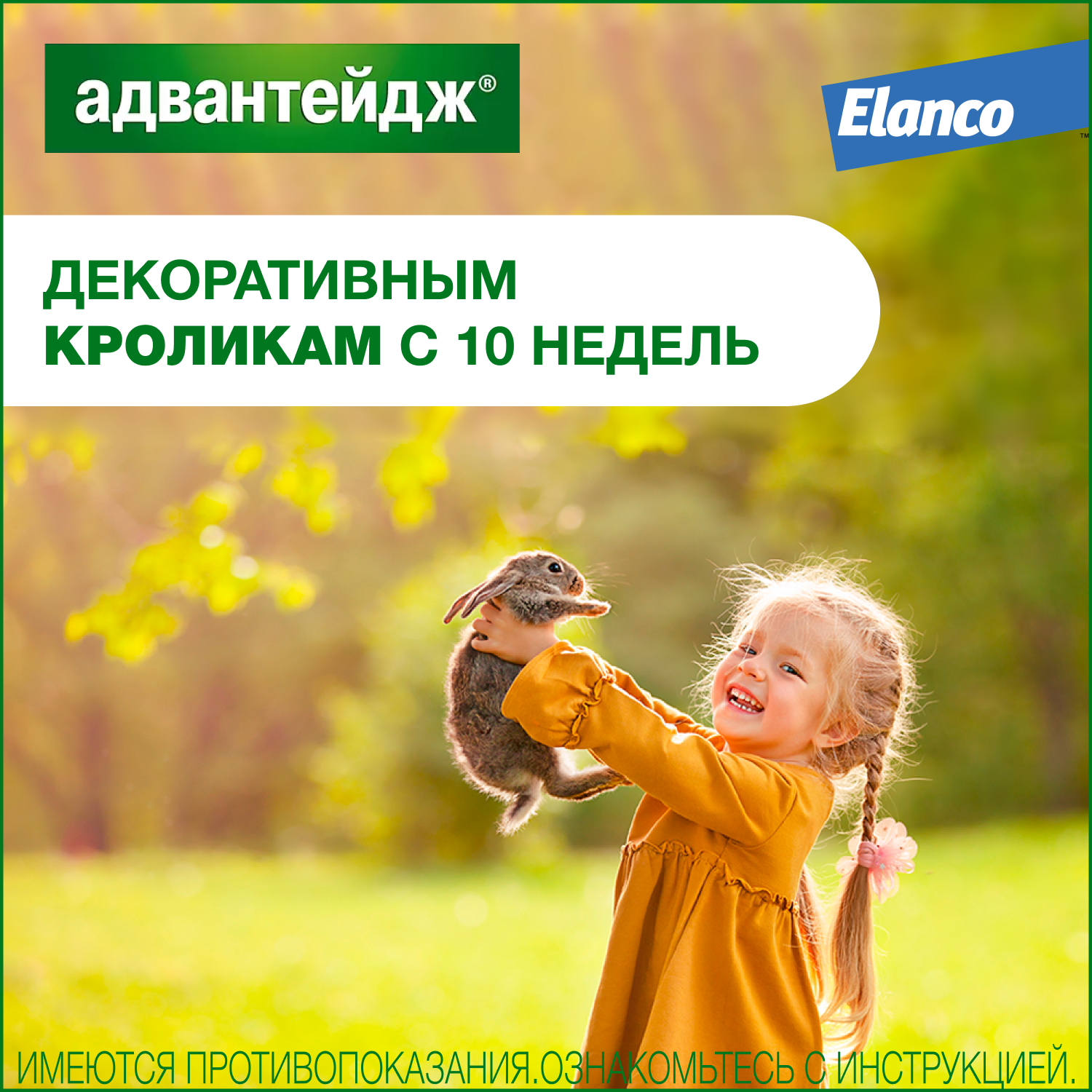 Капли для котят и кошек Elanco Адвантейдж против блох 1пипетка - фото 8