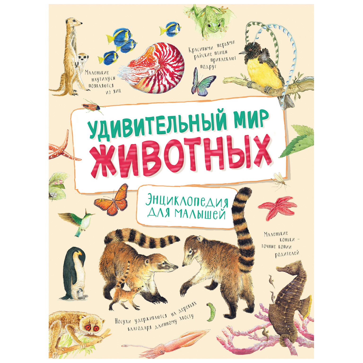 Книга Росмэн Удивительный мир животных Энциклопедия для малышей - фото 1