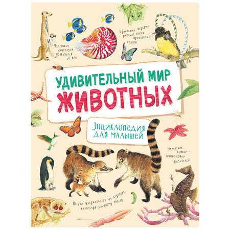 Книга Росмэн Удивительный мир животных Энциклопедия для малышей