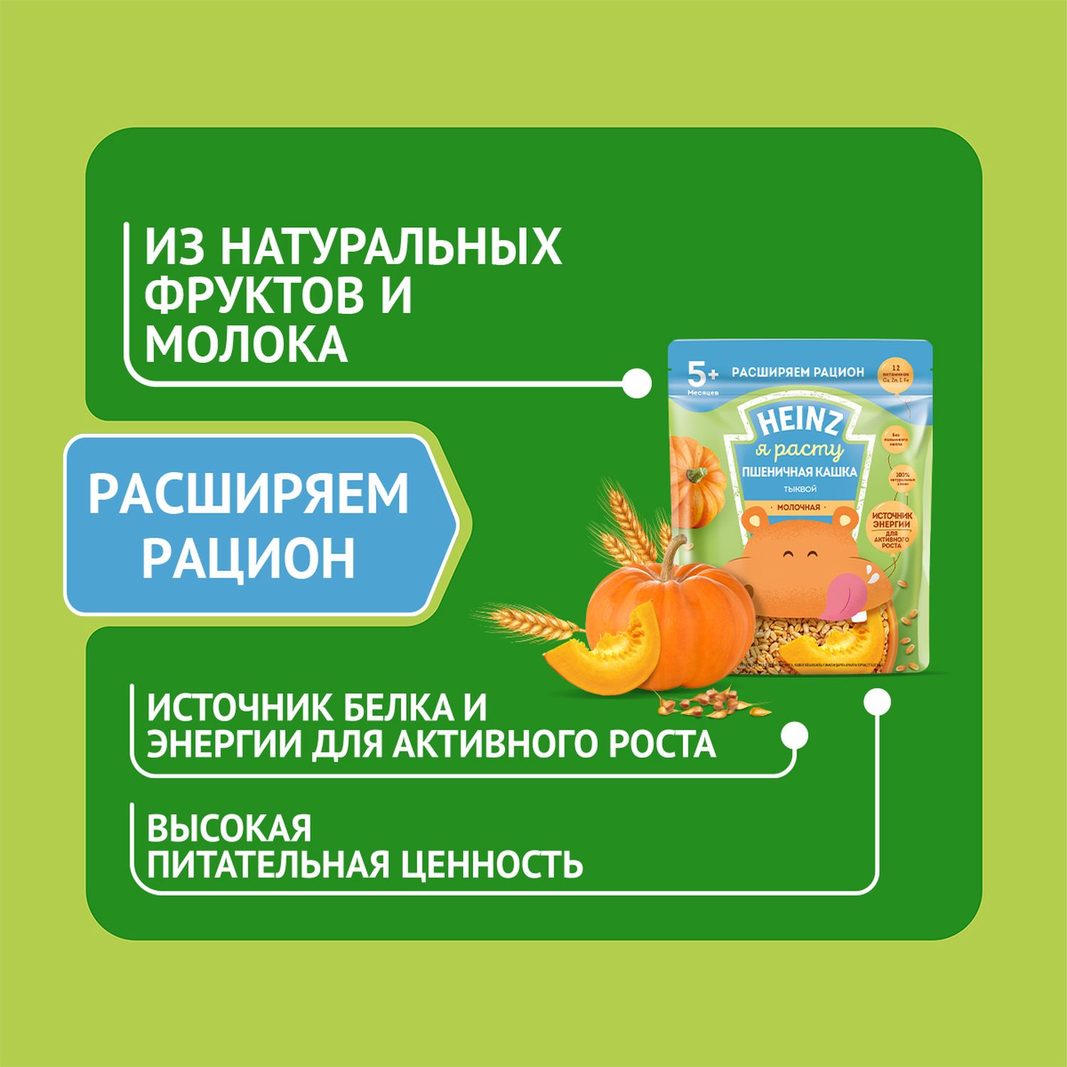 Каша молочная Heinz пшеничная с тыквой 200 г с 5 месяцев купить по цене 148  ₽ в интернет-магазине Детский мир