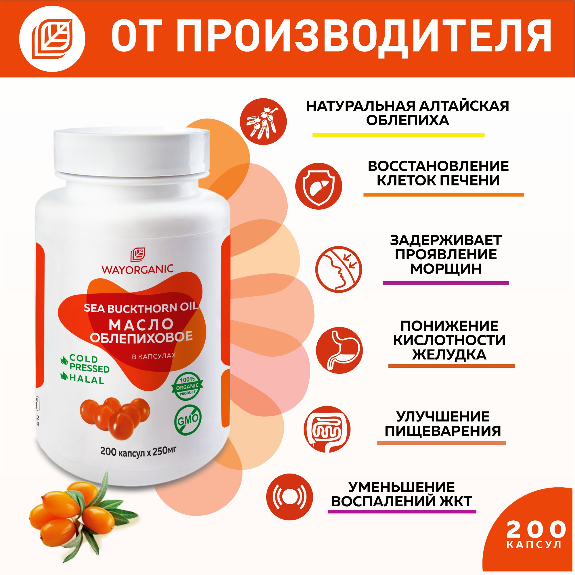 Облепиховое масло в капсулах WAYORGANIC для пищеварения - фото 3