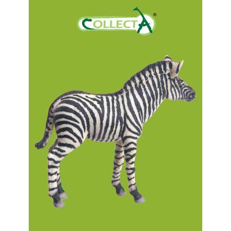 Игрушка Collecta Жеребенок зебры фигурка животного