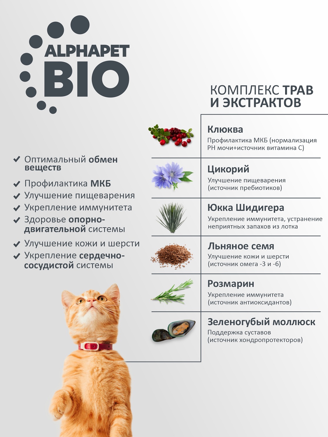 Корм для кошек AlphaPet WOW superpremium взрослых стерилизованных c цыпленком 1.5кг - фото 5