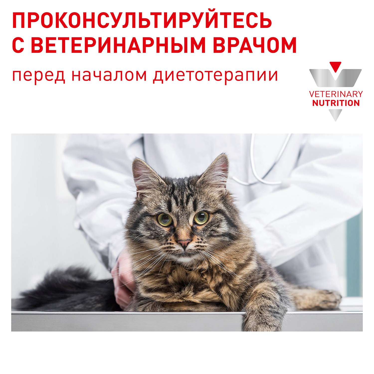 Корм для кошек ROYAL CANIN Корм для кошек Royal Canin Матюр Консалт фелин 85г - фото 7