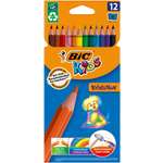 Карандаши цветные BIC Kids Evolution 12 цветов