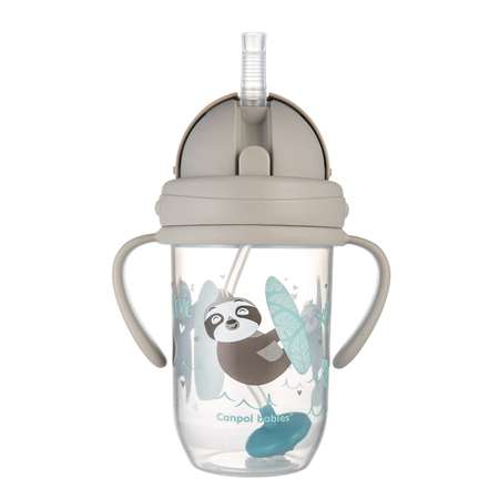 Поильник Canpol Babies 270 мл