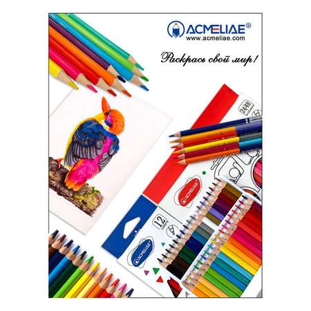 Карандаши цветные ACMELIAE набор 12 цветов укороченные трехгранные в картонном футляре