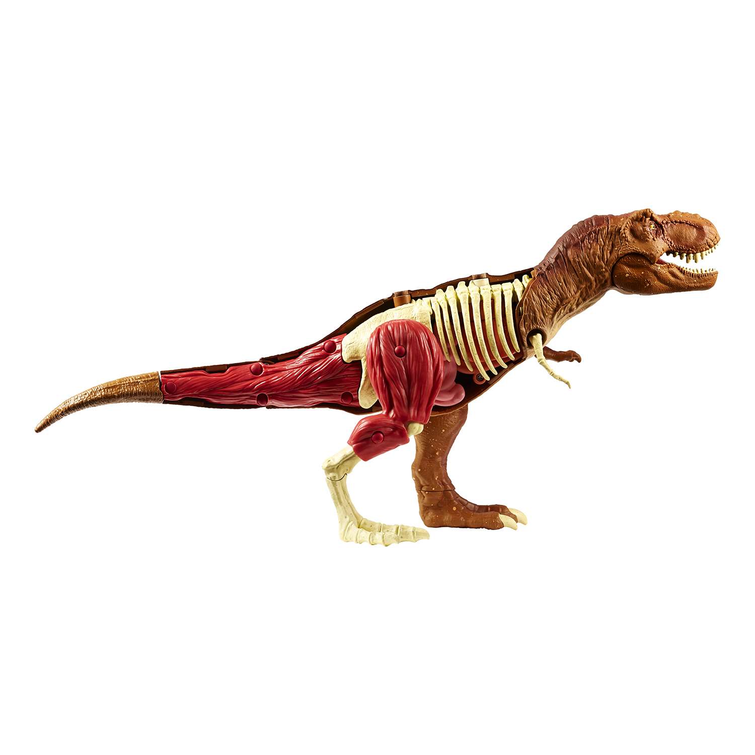 Набор археологический Jurassic World Анатомия динозавров - фото 2