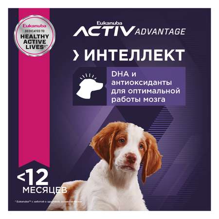 Корм для собак Eukanuba 800г Паппи МедиумБрид 12м