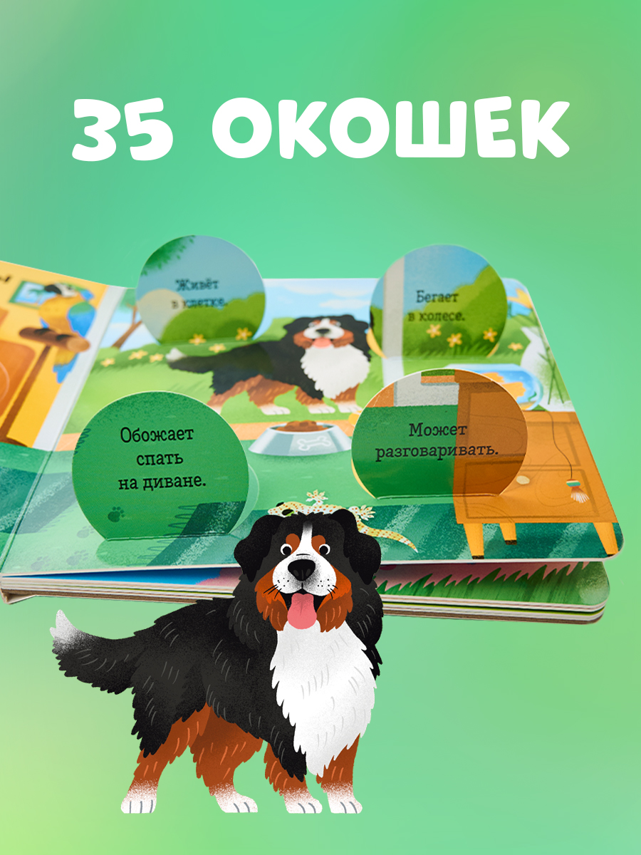 Книга Clever Любимые животные. Энциклопедия с окошками - фото 4