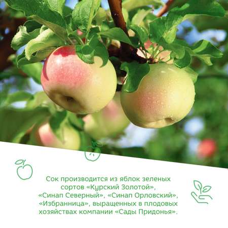 Сок Сады Придонья яблоко прямого отжима с мякотью, 200 мл, с 4 месяцев