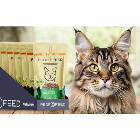 Корм консервированный для кошек пауч Profifeed с кроликом в соусе 75г 28 шт