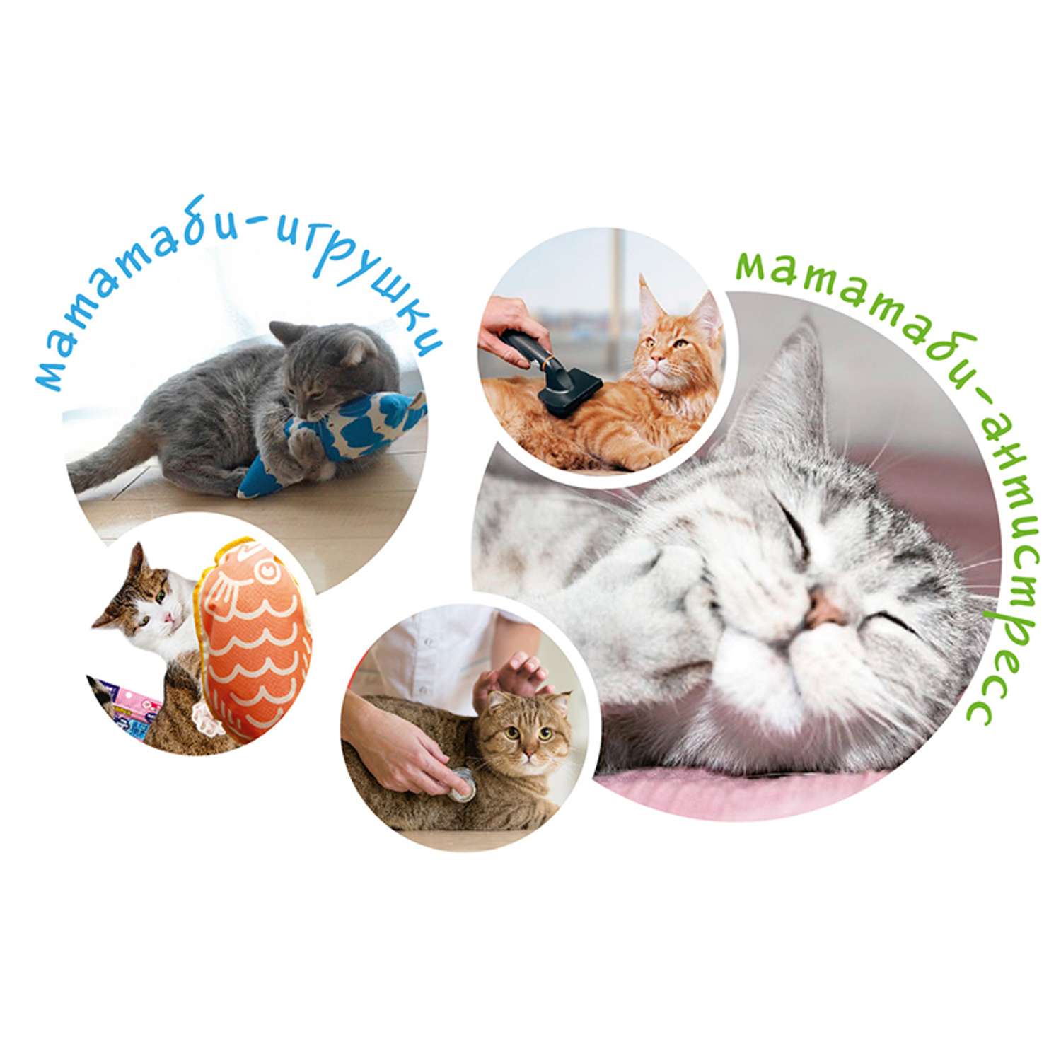 Пищевая добавка для кошек Itosui Мататаби для устранения стресса в дороге - фото 7