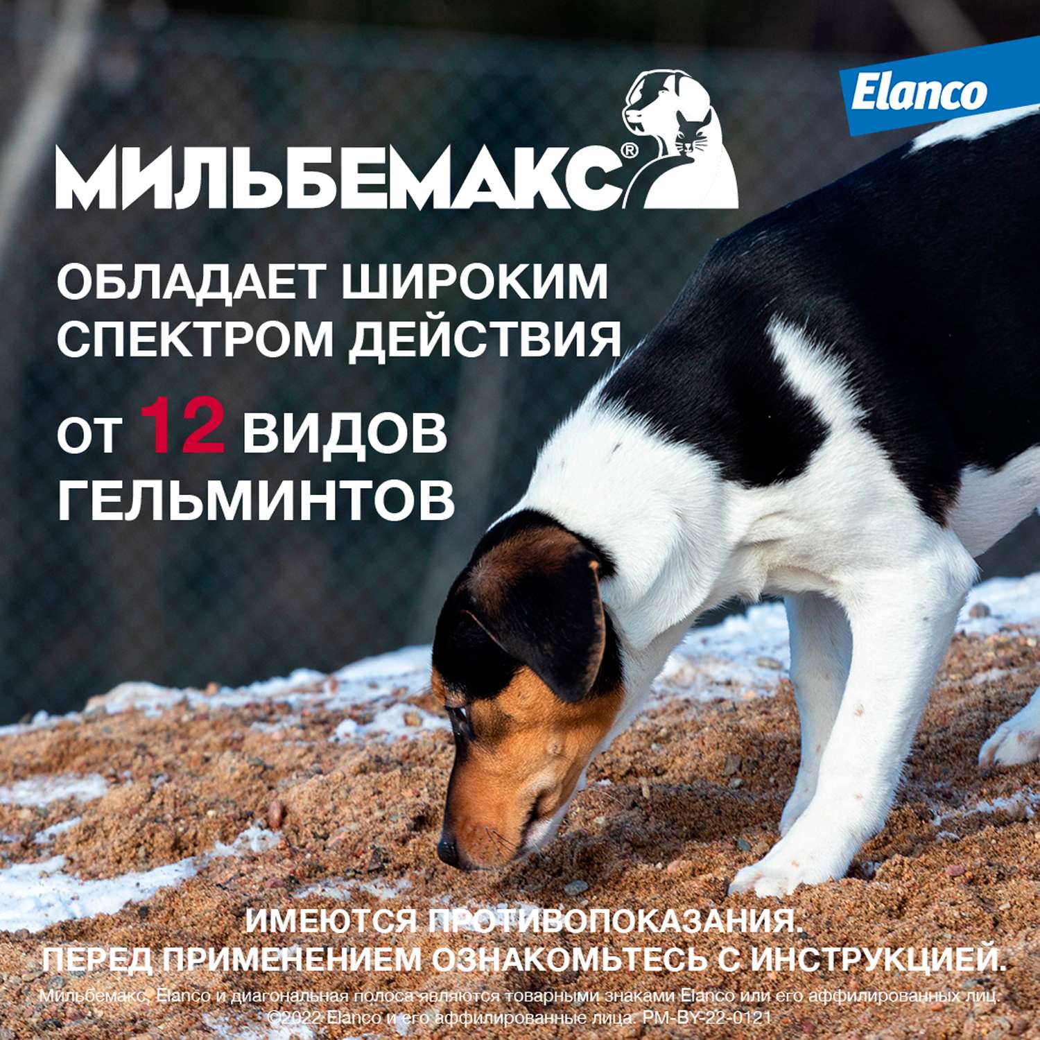 Антигельминтик для собак Elanco Мильбемакс крупных пород 2таблетки - фото 4