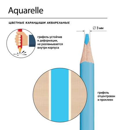 Карандаши цветные Bruno Visconti акварельные Aquarelle 12 цветов