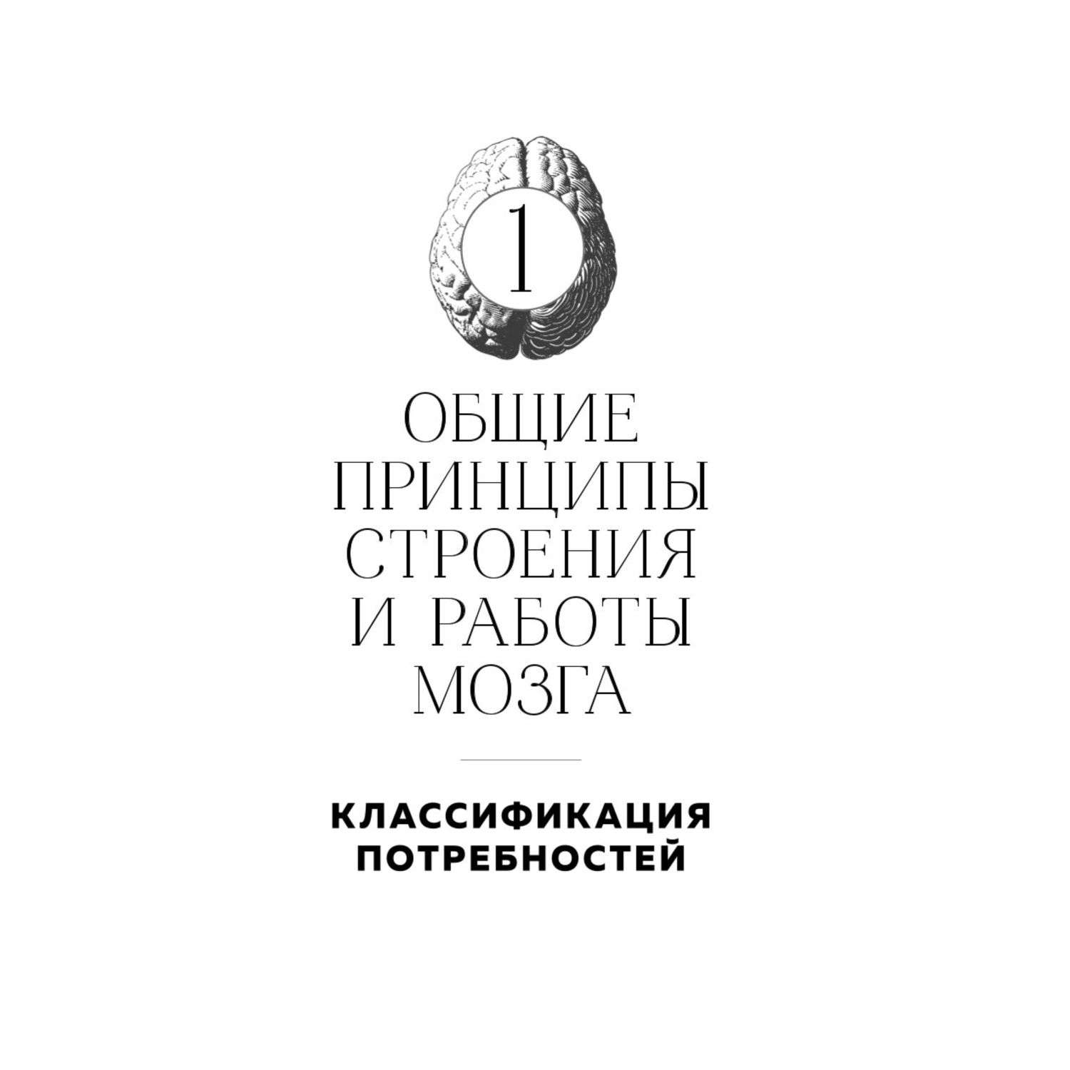 Книга Эксмо Мозг и его потребности 20 От питания до признания - фото 8