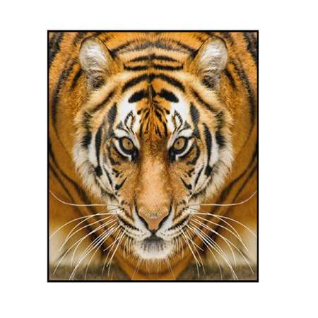 Алмазная мозаика Seichi Тигр 15х20 см