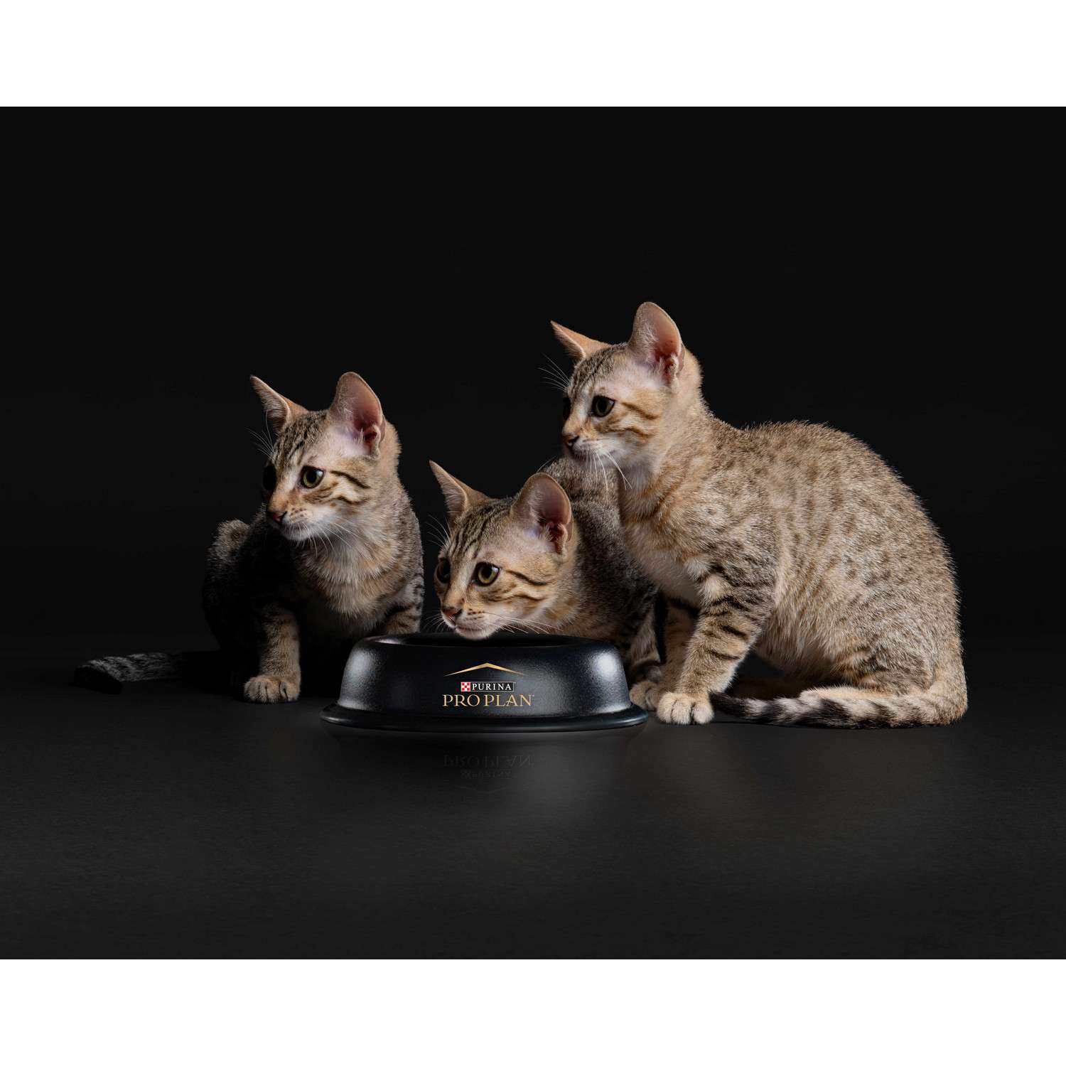 Корм сухой для котят PRO PLAN 200г с индейкой с чувствительным пищеварением - фото 9