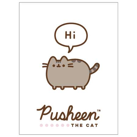 Блокнот Pusheen А7 40л в ассортименте PS2/2