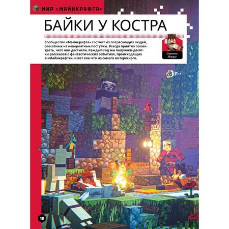 Журналы Minecraft Журналы (4/24,5/24,6/24) Майнкрафт