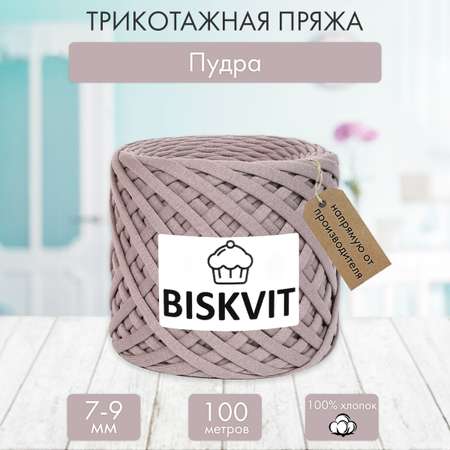 Трикотажная пряжа BISKVIT Пудра