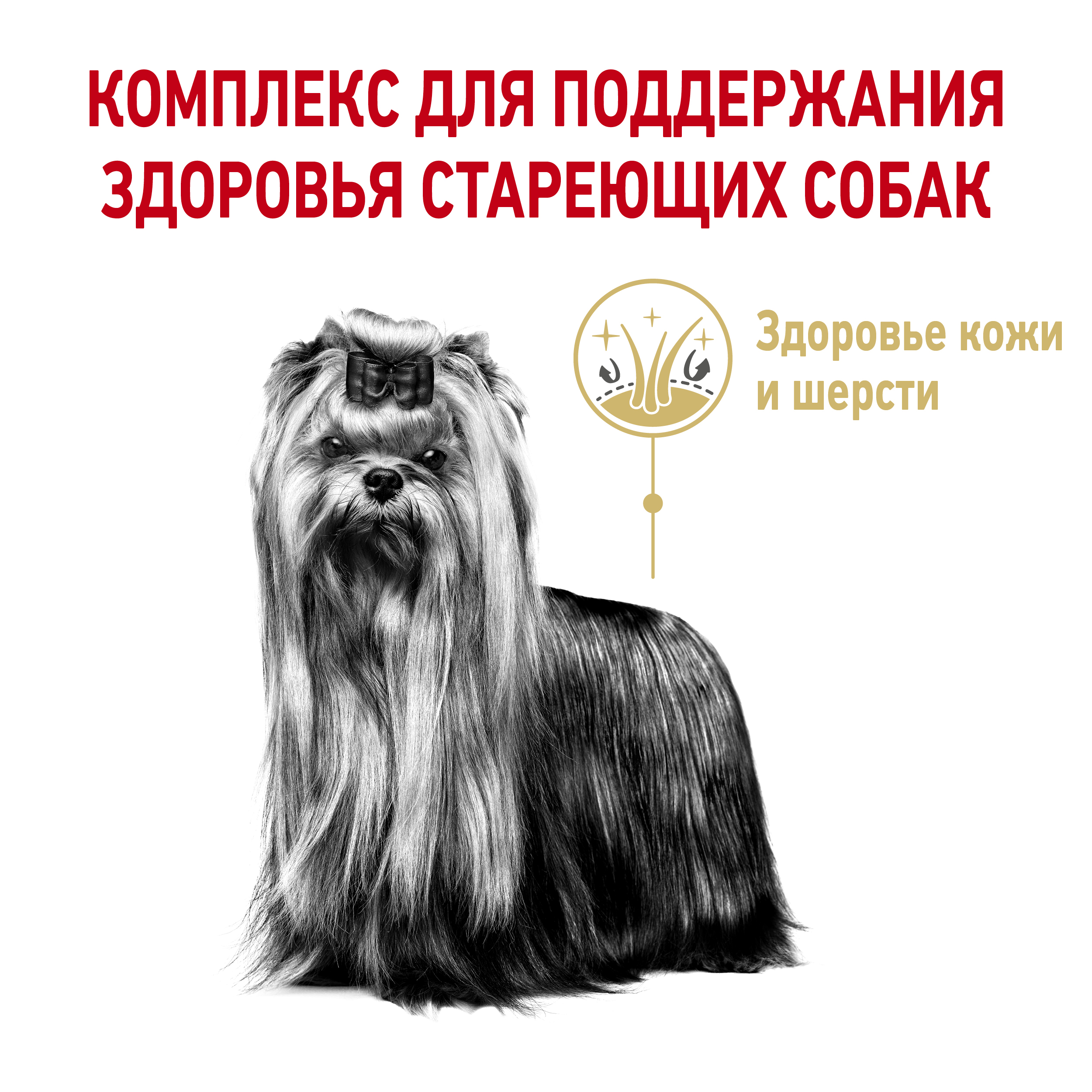 Сухой корм для собак ROYAL CANIN 0.5 кг (для домашних, полнорационный) - фото 6