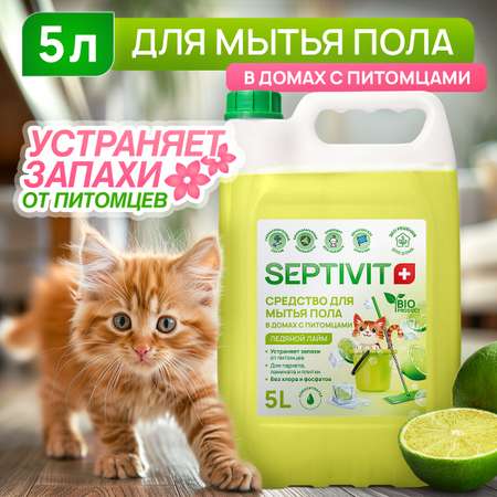 Средство для мытья полов SEPTIVIT Ледяной лайм 5л