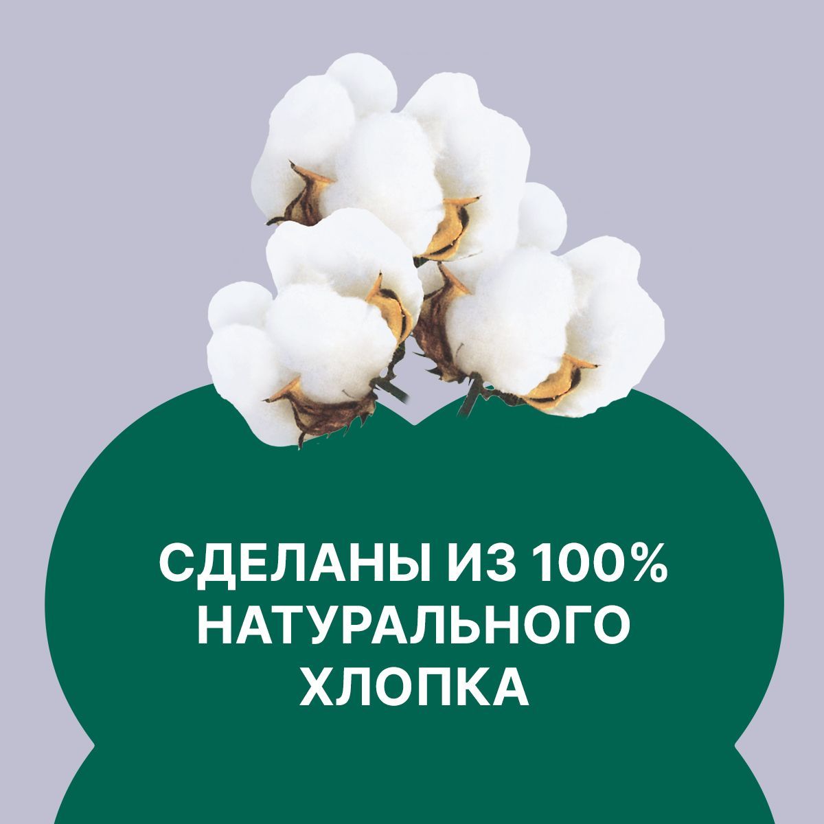 Прокладки Ola! Silk Sense ночные с хлопковой поверхностью 6 упаковок по 24 шт - фото 3