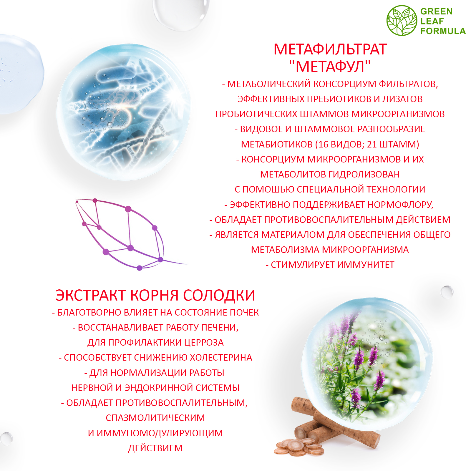 Метабиотик для восстановления микрофлоры Green Leaf Formula для желудка кишечника пищеварения - фото 3