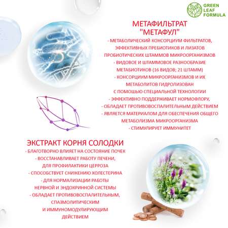 Метабиотик для восстановления микрофлоры Green Leaf Formula для желудка кишечника пищеварения