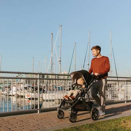 Коляска 2 в 1 UPPAbaby Vista 2018 Denny True Red