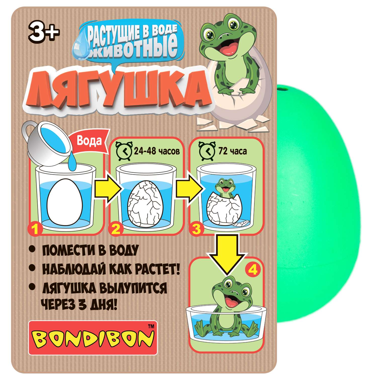 Растущая в воде игрушка BONDIBON Вырасти Лягушку в зелёном яйце - фото 4
