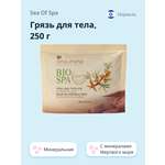 Грязь Sea of Spa для тела минеральная Мертвого моря 250 г