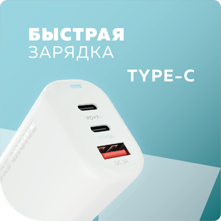 Сетевое зарядное устройство More Choice NC79a