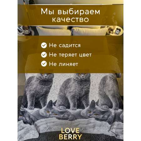 Плед LOVEBERRY 1,5 спальный британцы