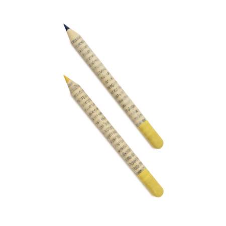 Растущие карандаши magicme цветные 2 шт Львиный зев/Ромашка синий/желтый Набор для выращивания
