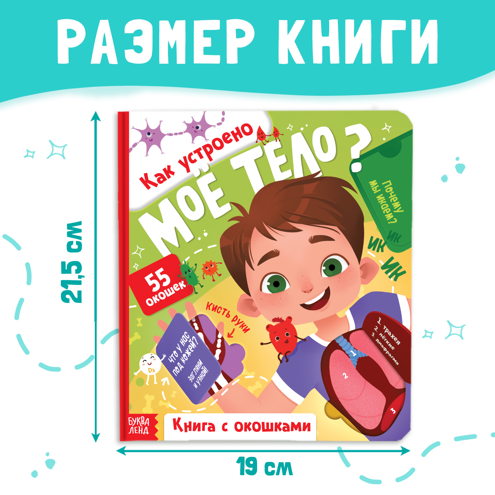 Энциклопедия с окошками Буква-ленд «Как устроено моё тело?», 55 окошек - фото 2