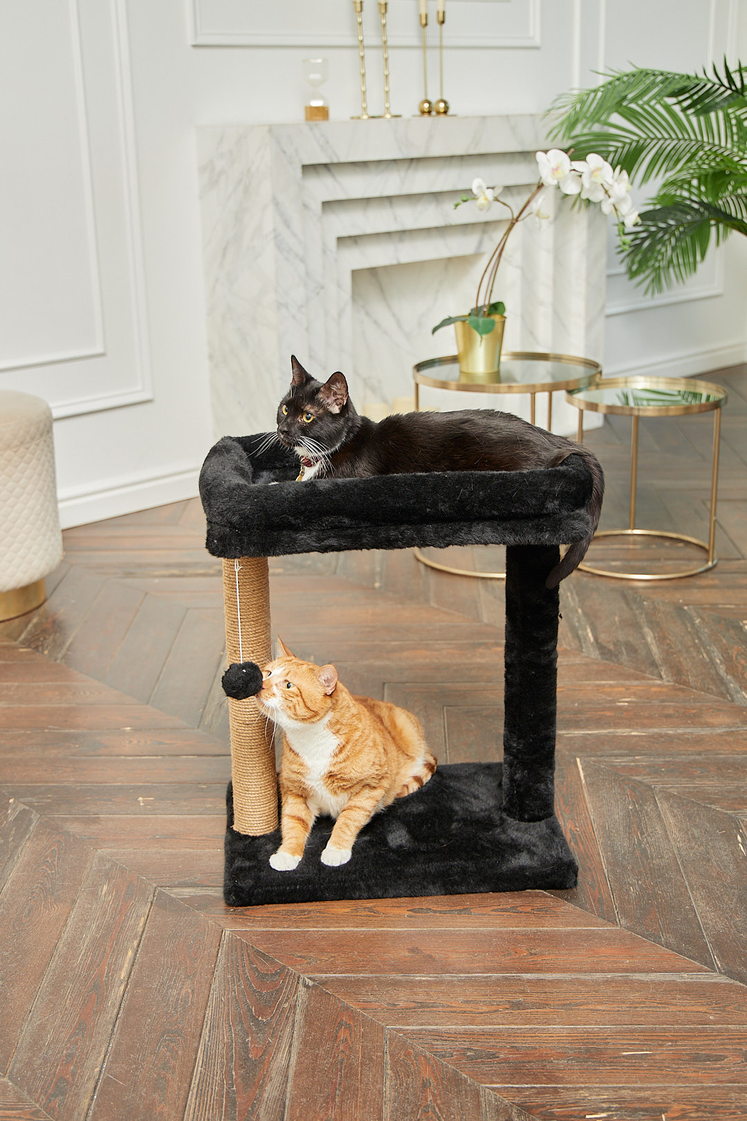 Когтеточка для кошек лежанка БРИСИ Черный - фото 4